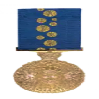 Order of Australia Medal
